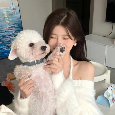 我来自北京之过年好